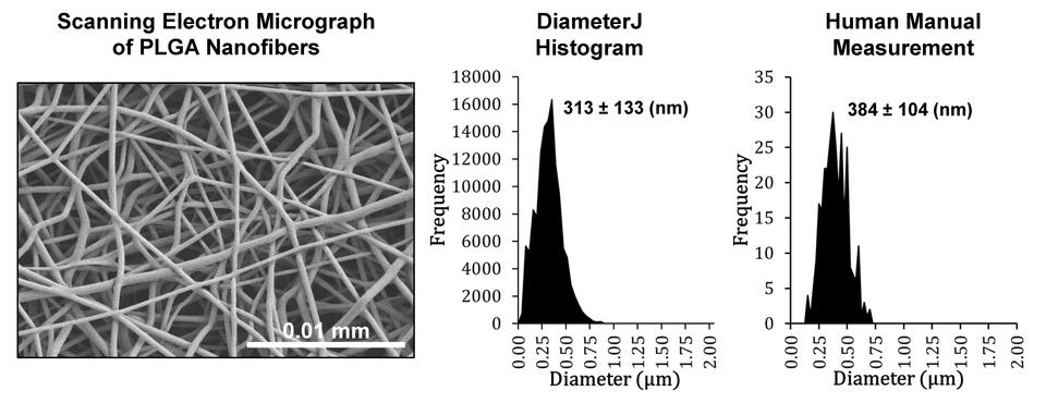 3 figures. 1) Scanning electron micrograph of electrospun nanofibers made from poly(lactic-co-glycolic acid) (PLGA). 2) Histogram of Nanofiber diameters analyzed by DiameterJ (Frequency/micrometers). 3) Histogram of Nanofiber diameters analyzed by human manual measurement using ImageJ Line Tool (Frequency/micrometers). Details in image caption.  