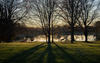 Two deer silhouetted against the dawn in front of one of NIST Gaithersburg's small lakes