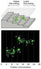 The top illustration shows a strand of DNA going down a nanometer-scale suitcase; the bottom illustration shows the trajectories of the DNA strands as they descend the staircase.