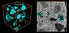 X-ray microtomograph shows pores that remain within lightweight aggregates (LWAs) after water has migrated from the pre-wetted materials during the first day of hydration