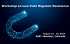 Low Field Magnetic Workshop