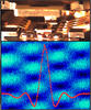three in one scanning probe module