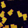 biomolecule