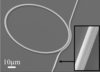 nanophotonic