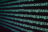 Genetic codes