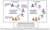 NIST Introduces a Meta-Framework to Strengthen Supply Chain Traceability in Critical Infrastructure Sectors