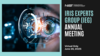 IEG Iris Experts Group Annual Meeting June 26, 2025