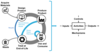 Circular Economy Activity Model