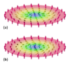 skyrmions