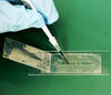  NIST researchers have combined a glass slide, plastic sheets and double-sided tape to create an inexpensive and simple-to-build microfluidic device for exposing an array of cells to different concentrations of a chemical.