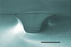 Microfluidic channels (colorized)