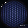 ion crystal top view